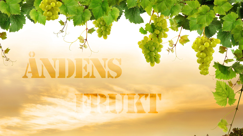 Fred og langmodighet