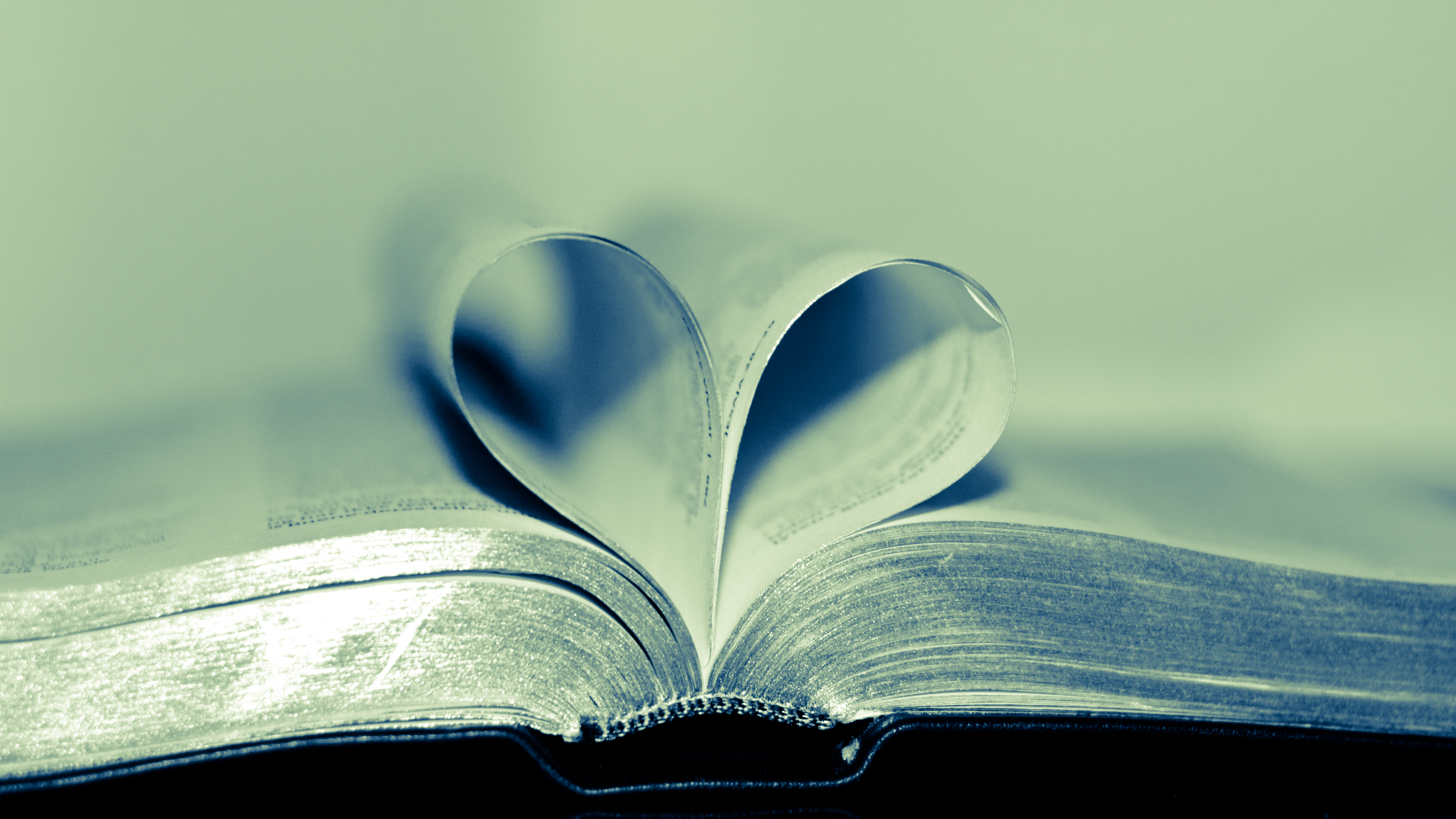 Elsket – Uten forbehold