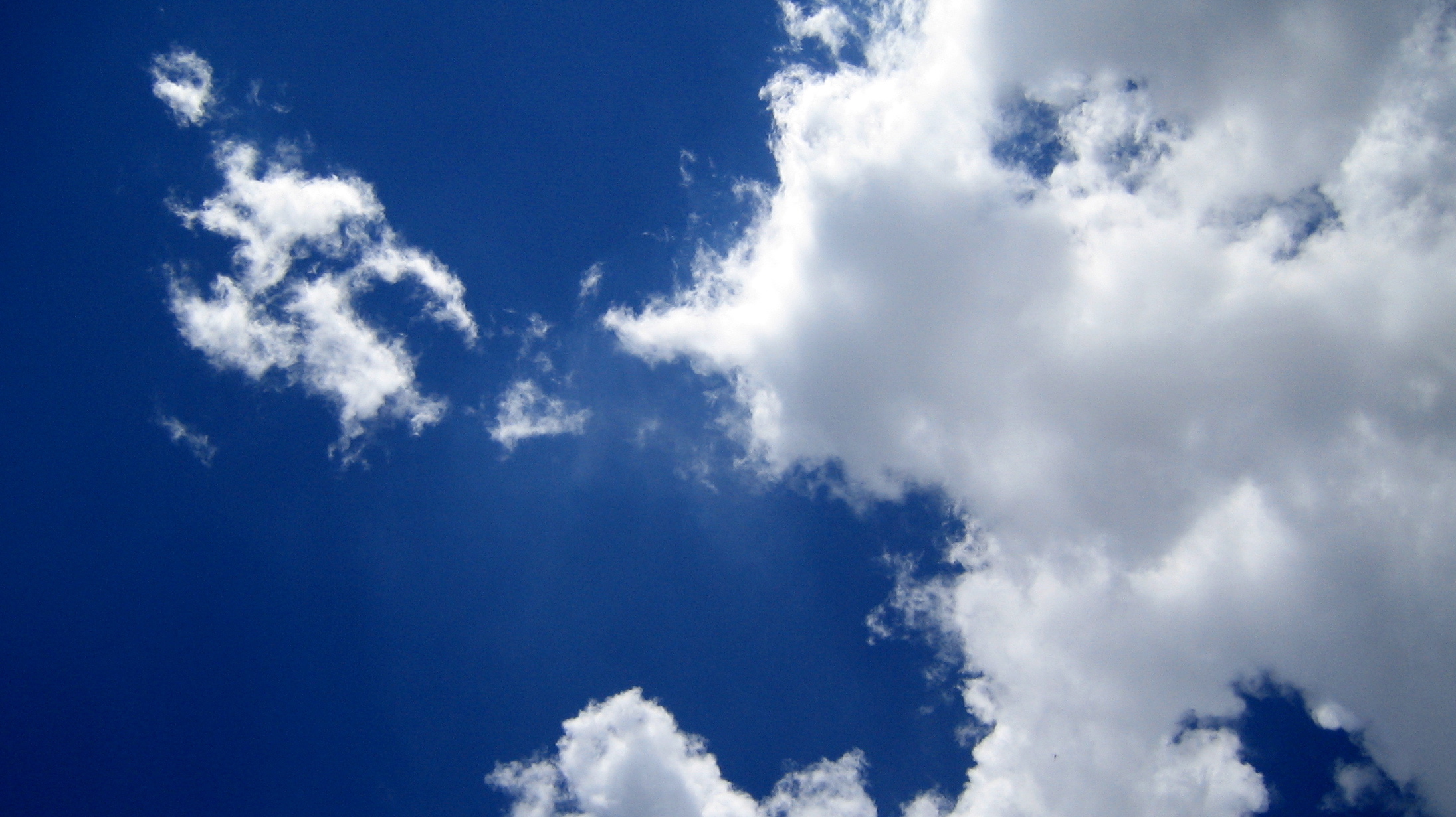 «Alle alle vil vi ha med»