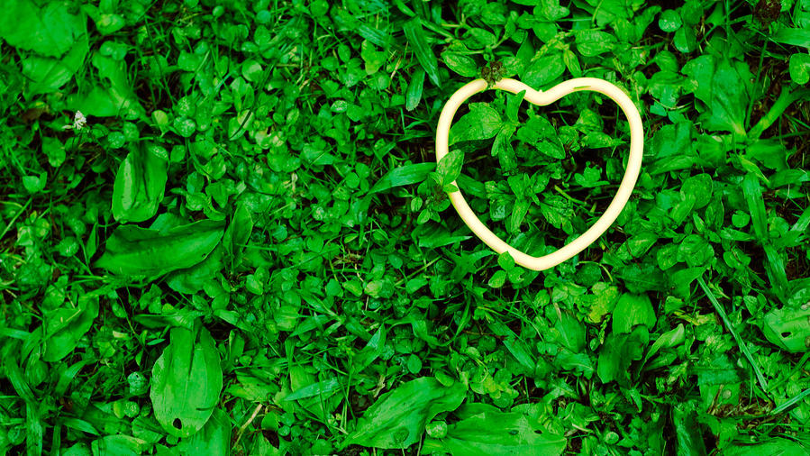 Nestekjærlighet på utlån