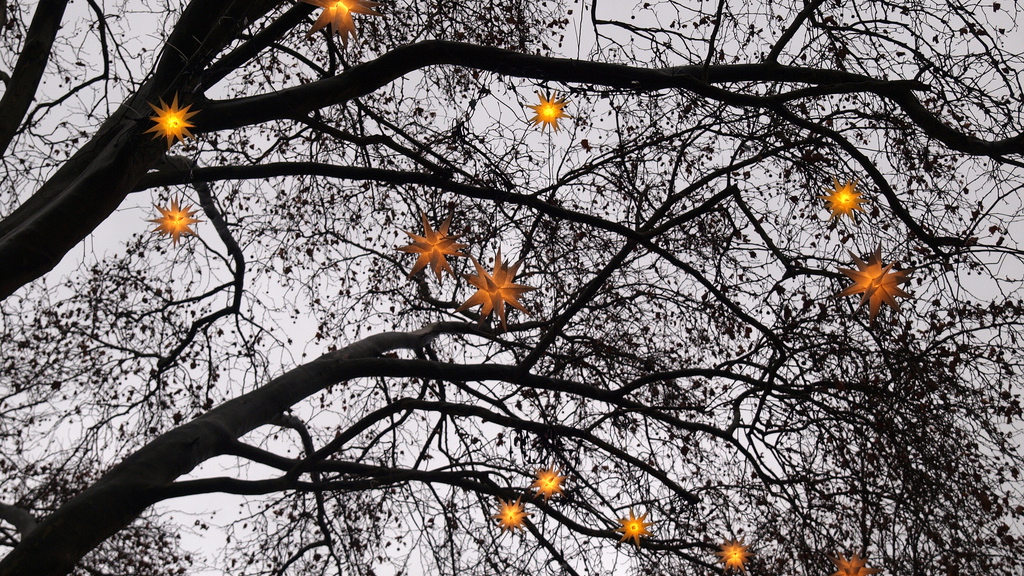 Forventninger og skuffelser