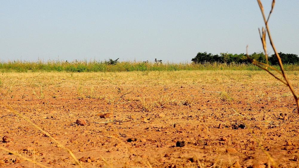 Mali og Elfenbenskysten