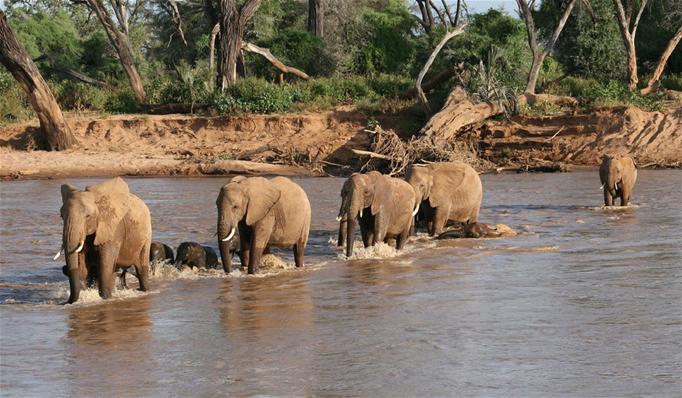 Tanzania