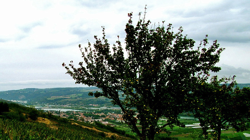 Fordi vi vil bli i Jesus