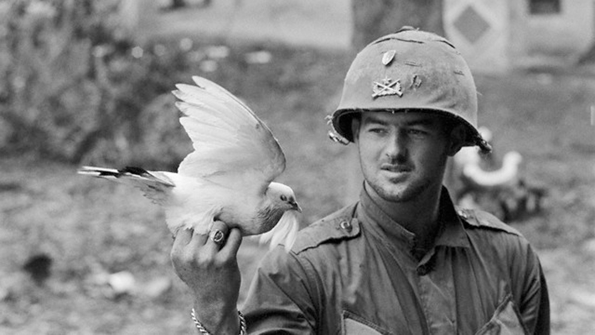 Kristent utgangspunkt for fredstjenesten