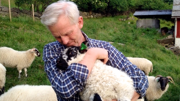 Jeg vil være en sau