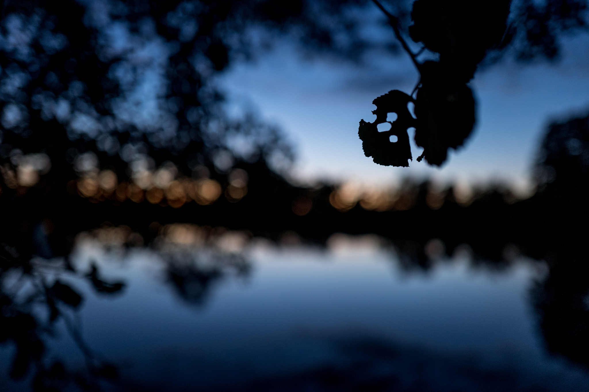 Våre favoritthøstalbum