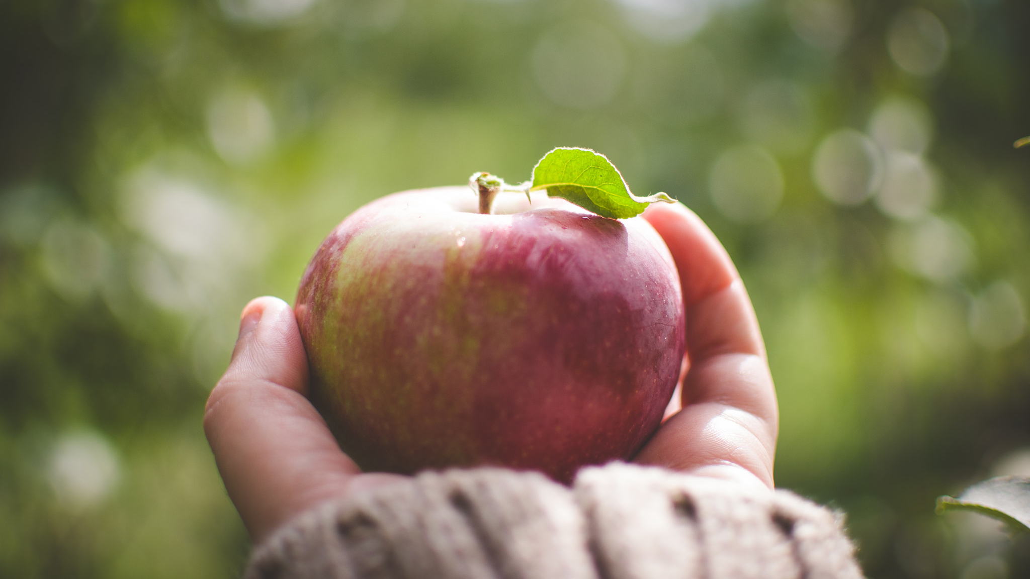 5 bibelvers som ikke er bibelvers