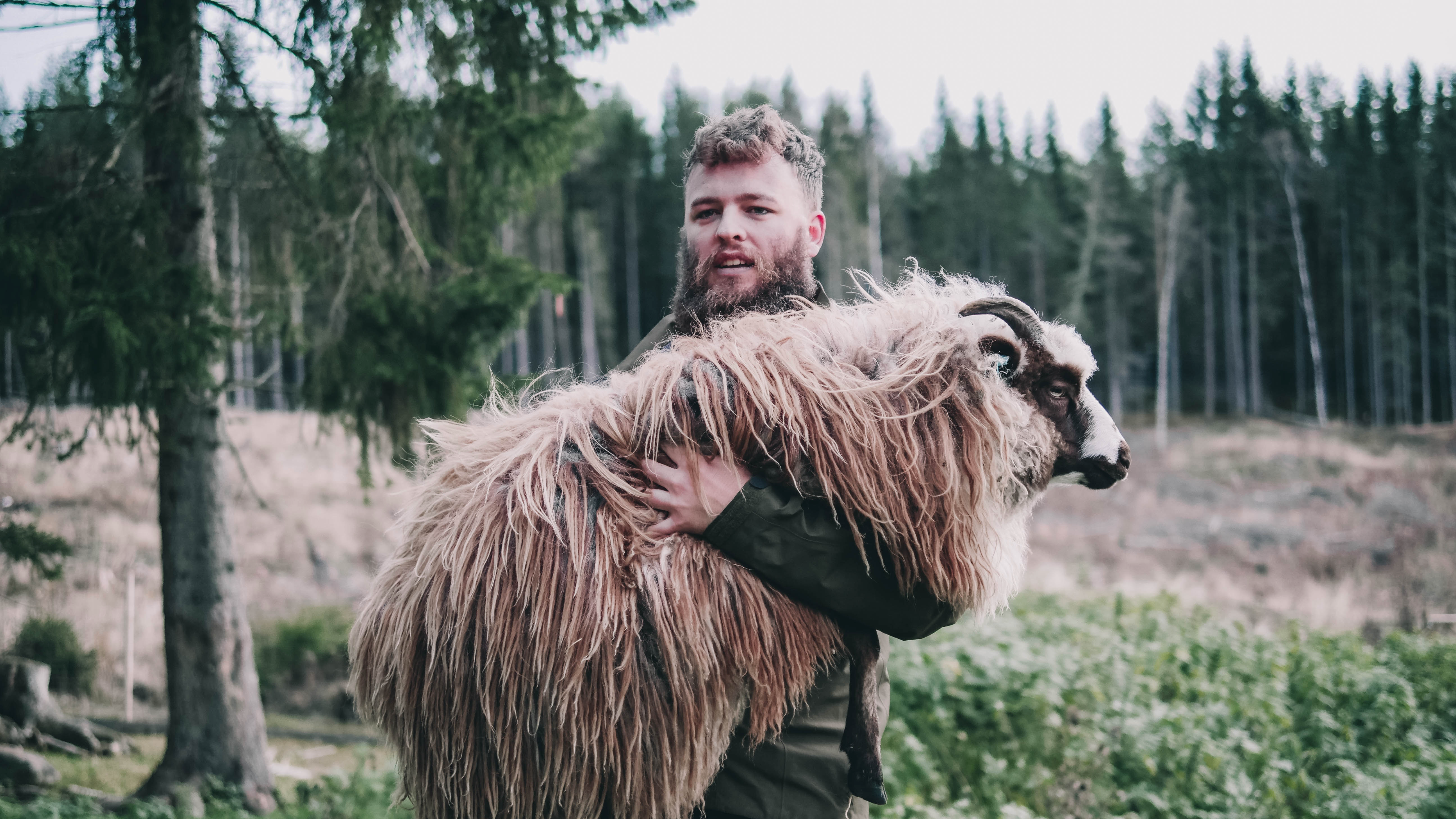 Jeg er den gode gjeter