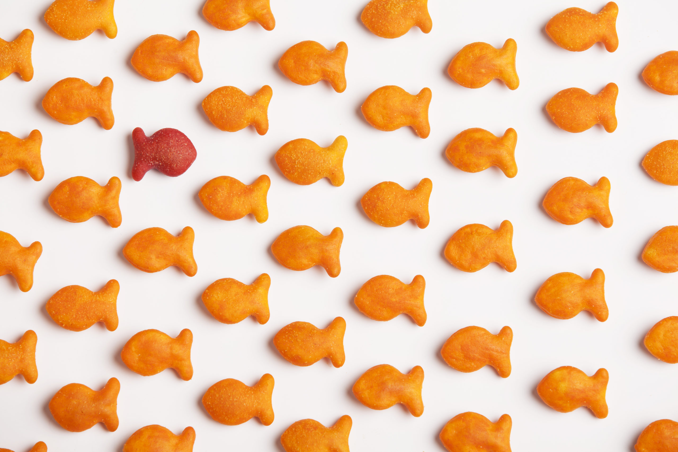 Tør vi å gå mot strømmen for å stå opp for Guds gode vilje for menneskene?