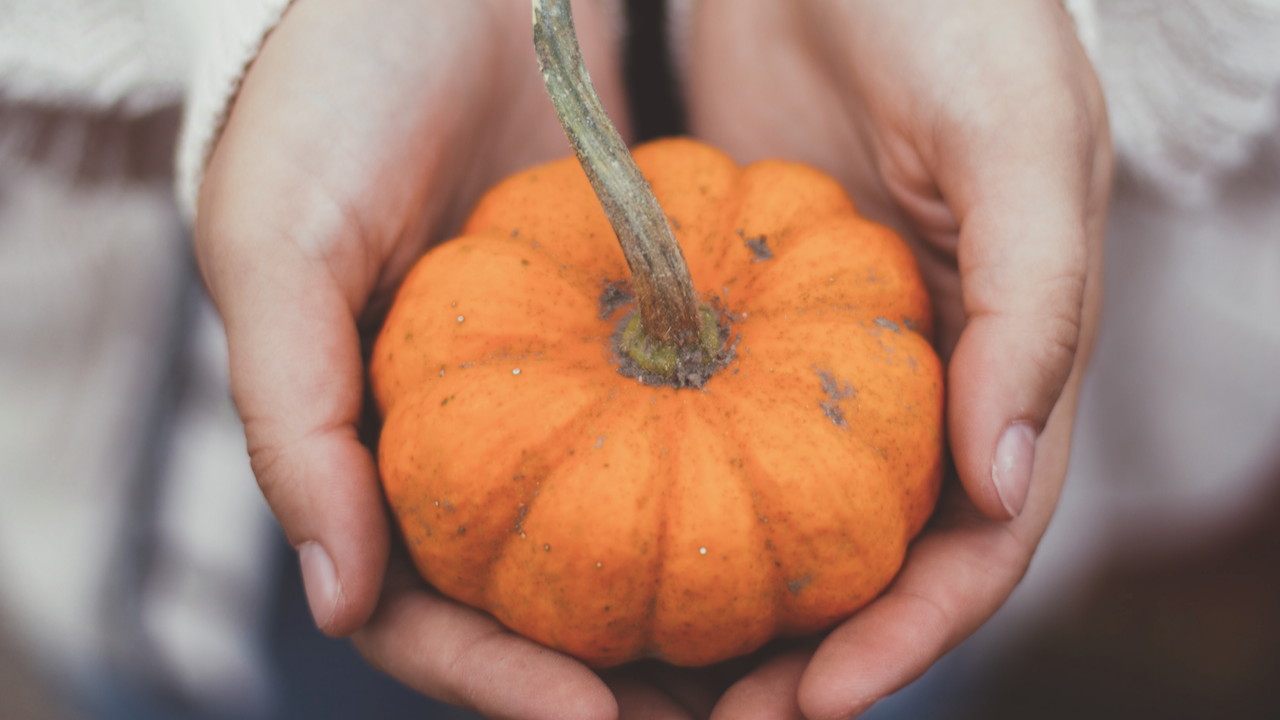 Dette er et år og en årstid i livet som Gud vil bruke, og det er verdt vår takknemlighet