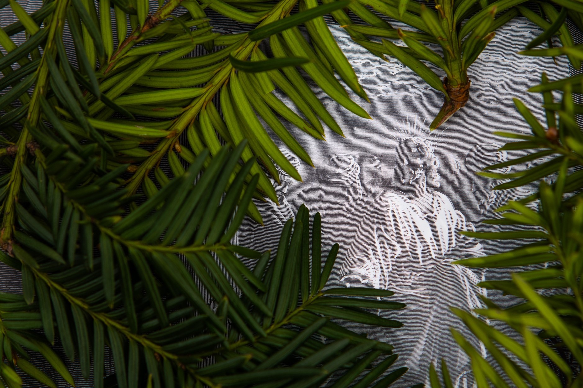 Troslivet vårt kan gå opp og ned, men Jesus er stabil og trofast