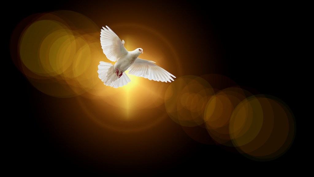 16 bibelvers om Den hellige ånd
