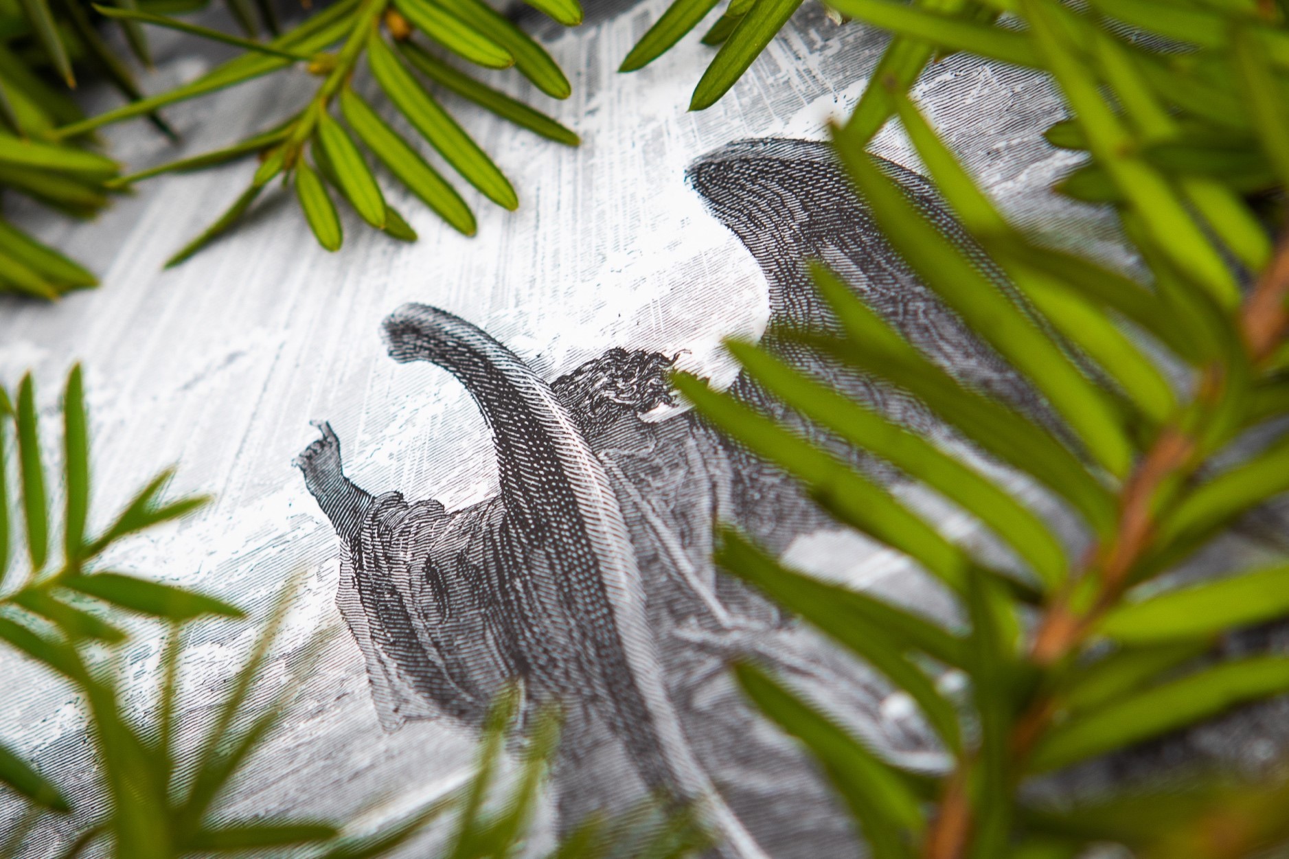 Stoler vi på Guds dømmekraft når han sier oss hva som er godt for oss og ikke?