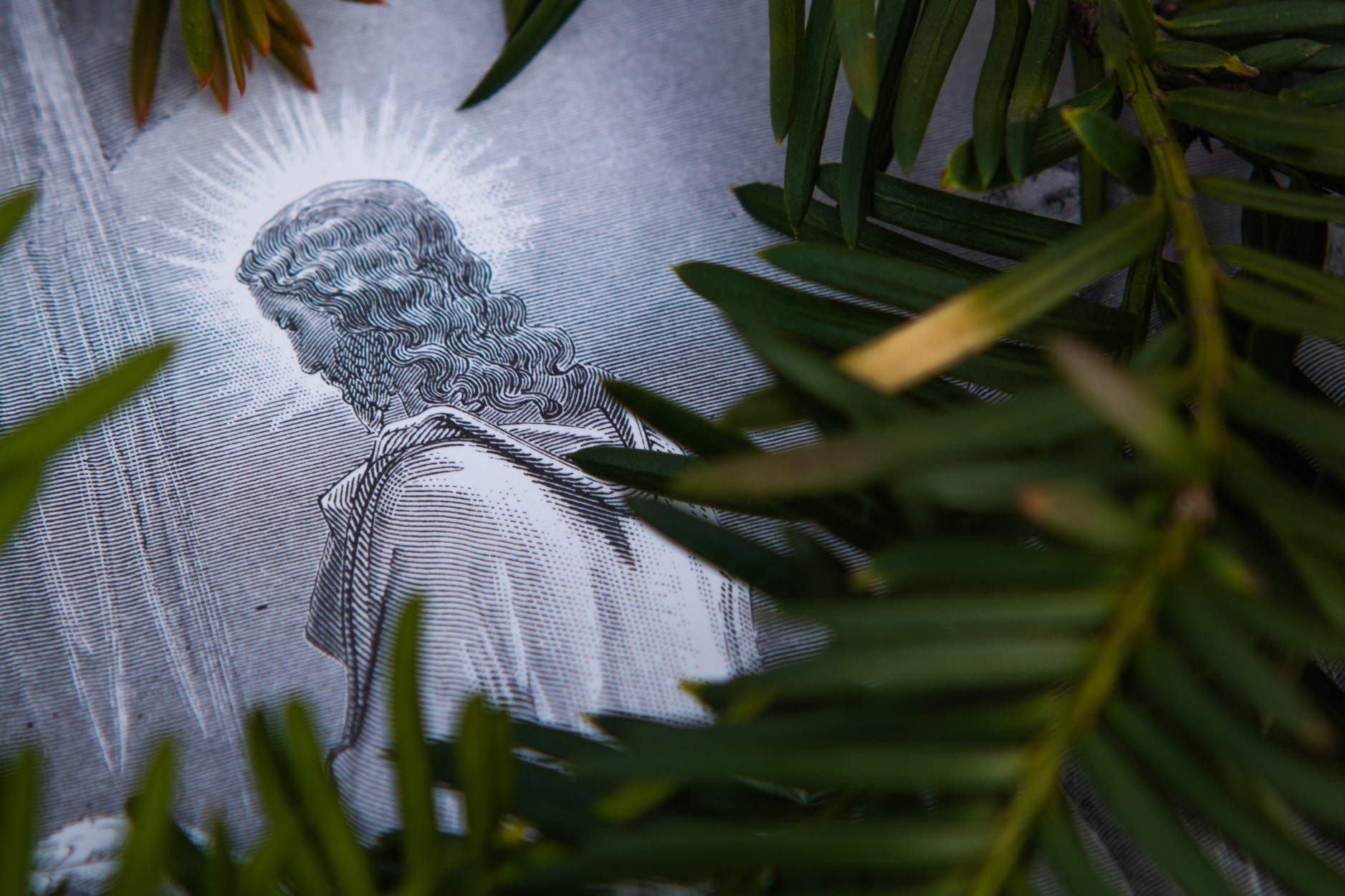 Hver gang jeg leser denne lignelsen, kjenner jeg at den virker som et vekkerrop