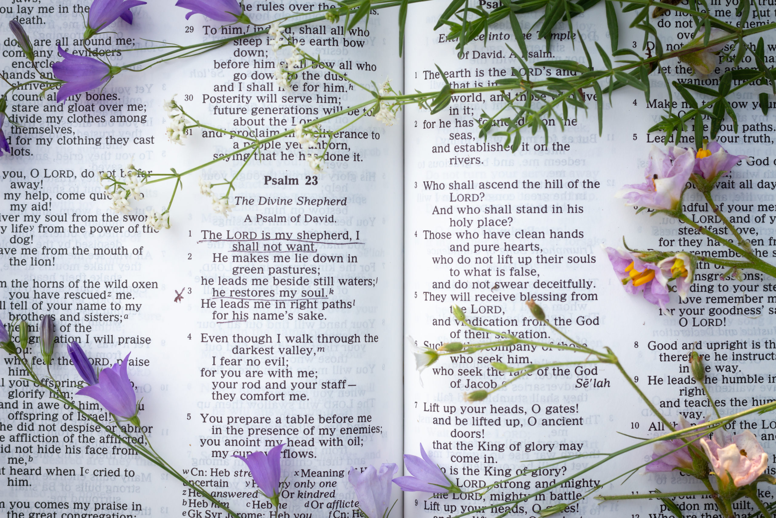 Hvordan bør vi lese poesi i Bibelen?