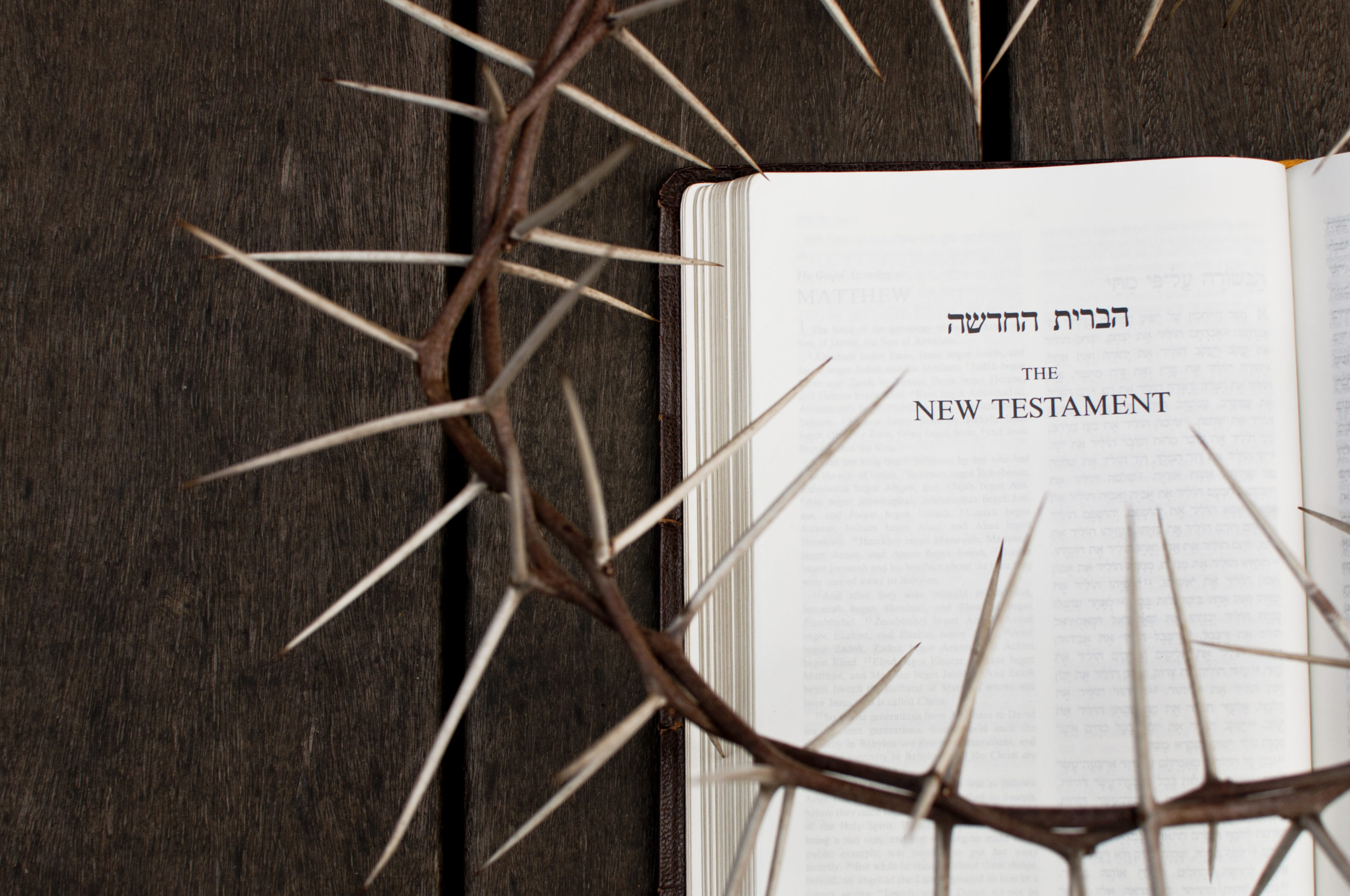 Det nye testamentet – mer enn fake news?