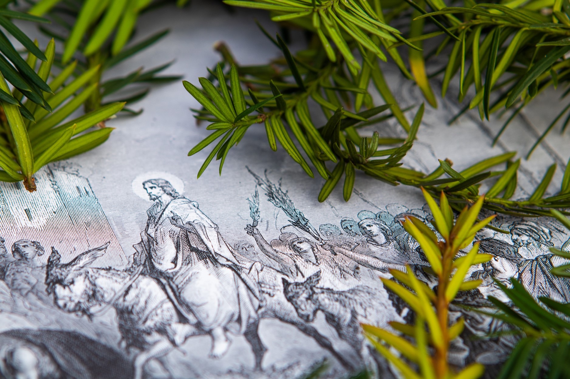 La oss bruke adventstiden til å tenke på hvem vi kan hjelpe og tjene