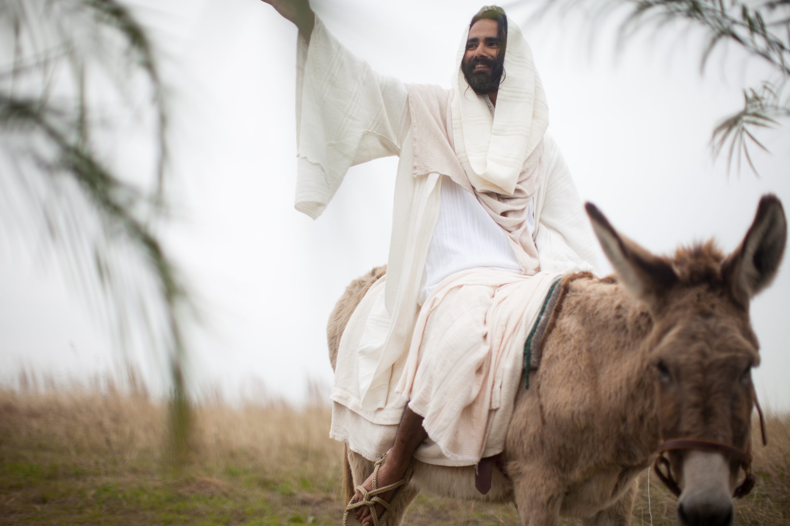 Da Jesus red inn i Jerusalem på eselet, satt han ikke på sin høye hest