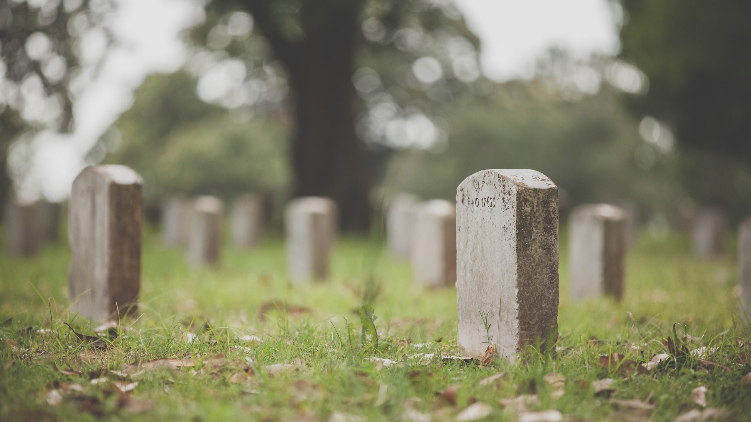 Vi må forholde oss til døden