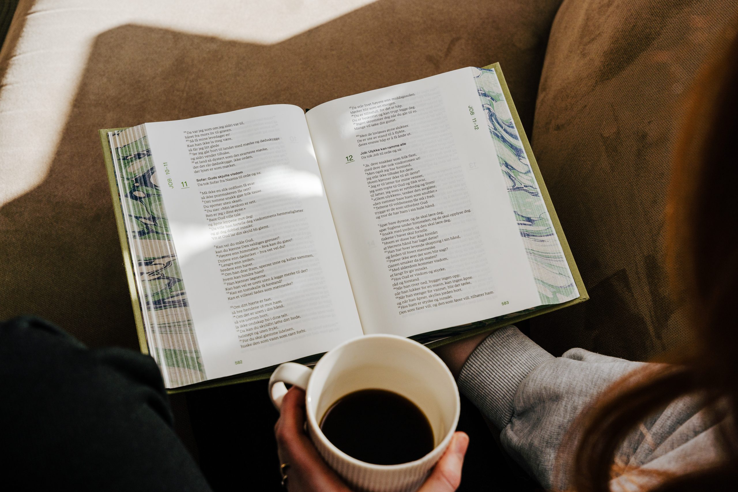 I mars fikk vi en ny bibel