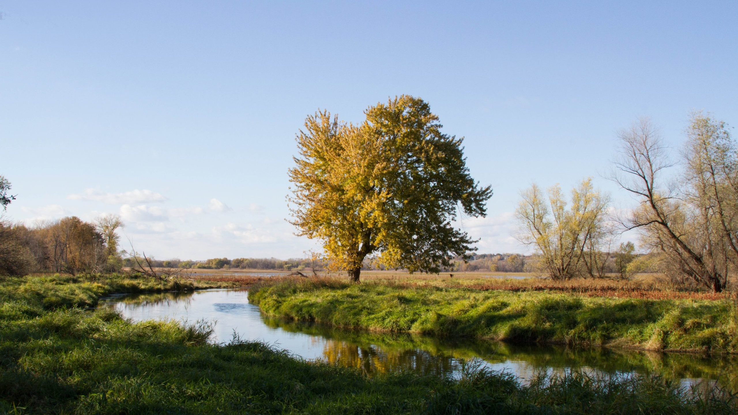 Kva kan plantene lære oss?